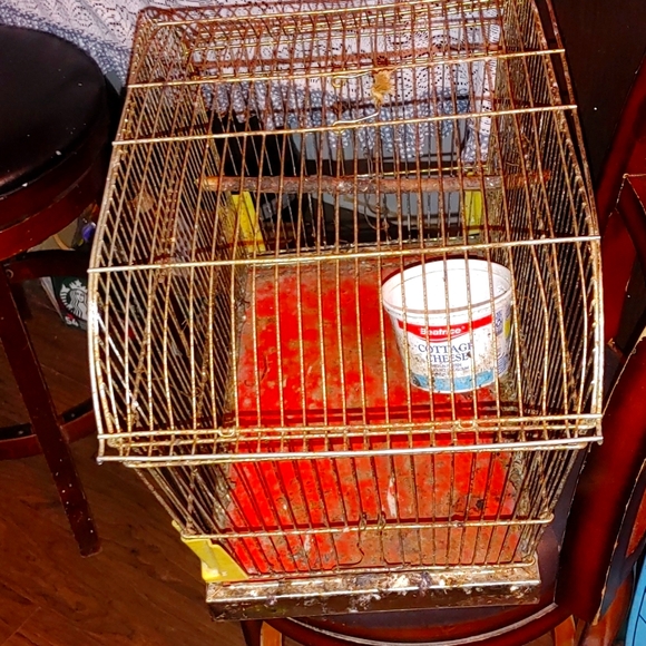 BIRD CAGE WITH SPRING LOADED DOOR - Picture 2 of 6